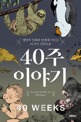 40주 이야...